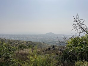 Vistas